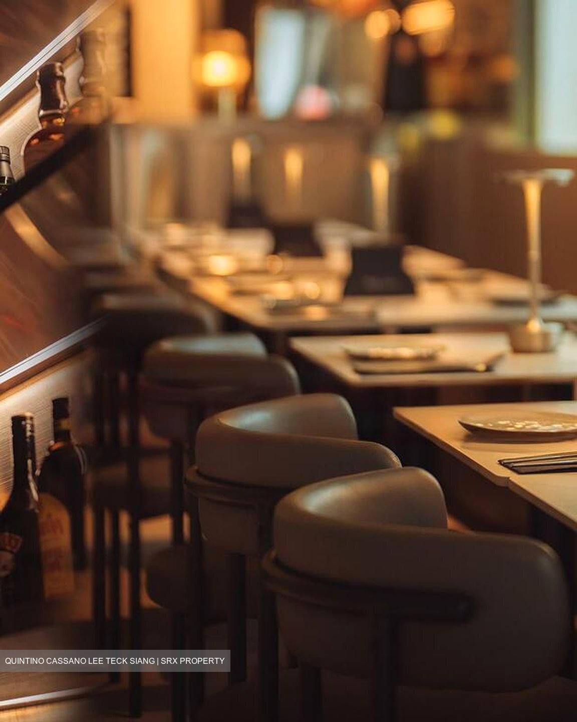 Outram Loft (D3), Shop House #456710071